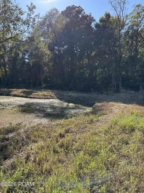 0000 Wildwood Way, Abbeville, LA 70510