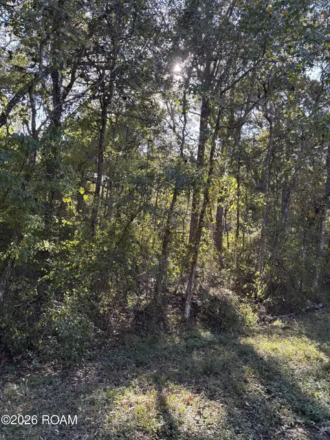 000 Tanglewood Dr, Abbeville, LA 70510