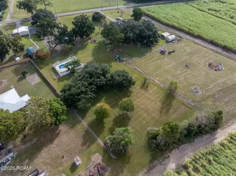 View/Area - 2373 Chitimacha Trl, Baldwin, LA 70514 photo 2 of 7