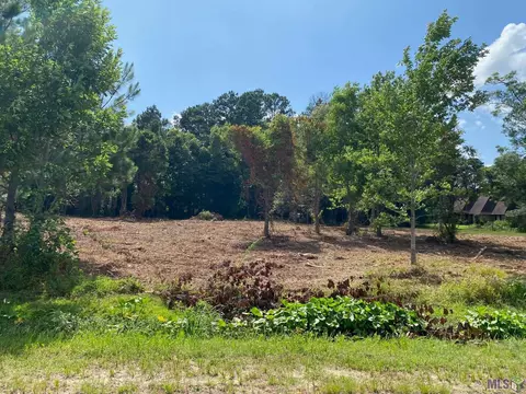 18383 Amite Acres Dr, Prairieville, LA 70769