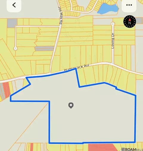 Sc-1-a & B Hammack Rd, Denham Springs, LA 70726