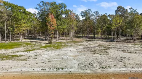 N-2-d-3 Little Azalea Drive, Zachary, LA 70791