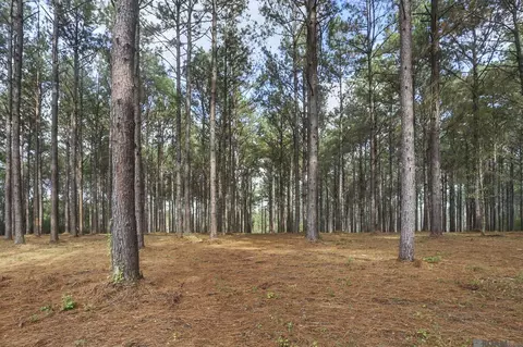 80114 Rosemary Ln, Saint Francisville, LA 70775