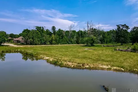 Spring House Dr, Greenwell Springs, LA 70739