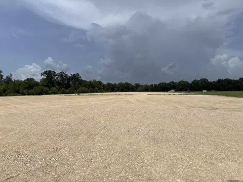 6549 Bowden Rd, Darrow, LA 70725