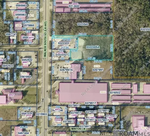 28700 S Walker Rd, Walker, LA 70785 photo 2