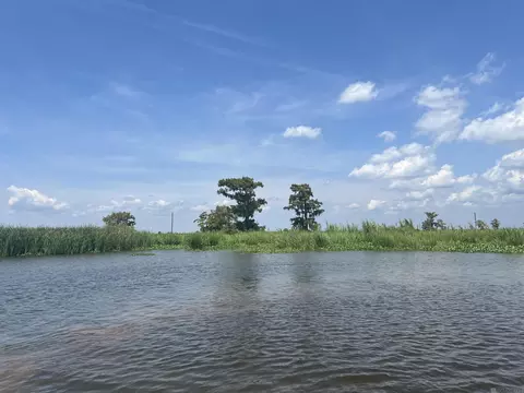 lot91 Jones Is, Akers, LA 70421