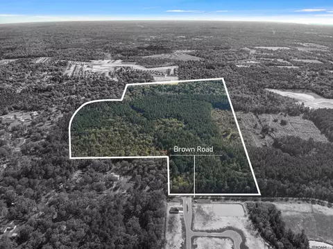 141 35 Acres Brown Rd, Denham Springs, LA 70726