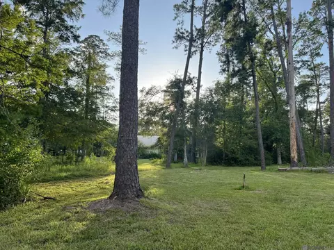 Exterior - 21750 Rosemound Ln, Springfield, LA 70462 photo 4 of 8