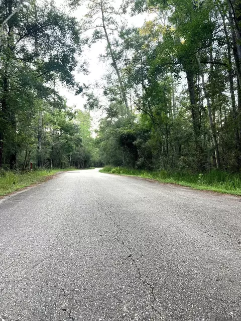 Other - 21750 Rosemound Ln, Springfield, LA 70462 photo 10 of 10