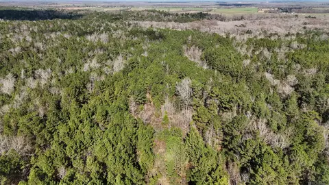 La Hwy 28 E, Boyce, LA 71409 photo 5