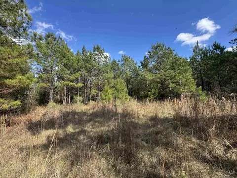 La Hwy 28 E, Boyce, LA 71409 photo 37