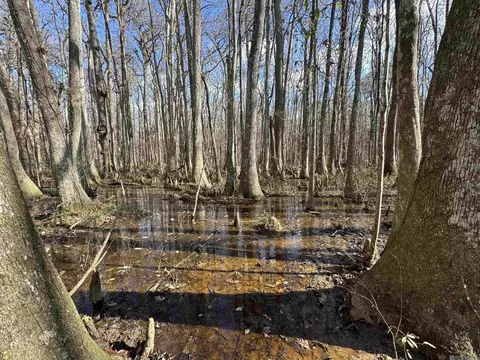 La Hwy 28 E, Boyce, LA 71409 photo 25
