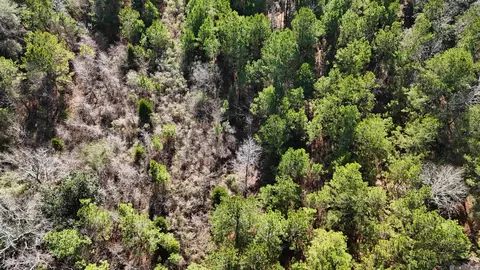 La Hwy 28 E, Boyce, LA 71409 photo 12
