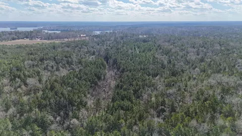 La Hwy 28 E, Boyce, LA 71409 photo 11