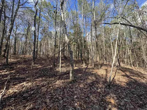 La Hwy 28 E, Boyce, LA 71409 photo 31