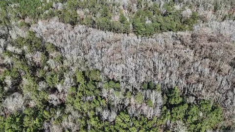 La Hwy 28 E, Boyce, LA 71409 photo 9