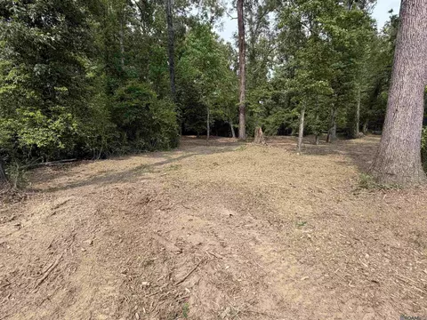4343 Feliciana Ct, Clinton, LA 70722