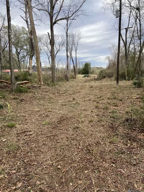 11123 Comeaux Ln, Denham Springs, LA 70726