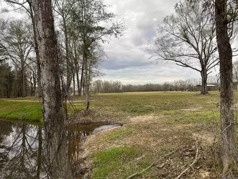 A-1-c Lemon Rd, Slaughter, LA 70777 photo 3