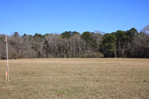 tbd Lot 5 La Hwy 958, Slaughter, LA 70777