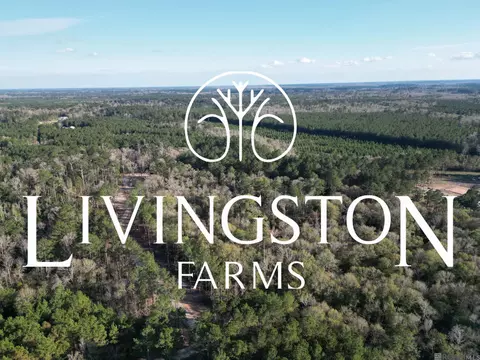 lot6 Livingston Farms Ln, Livingston, LA 70754