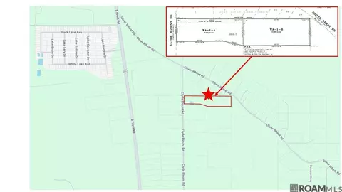 26430 Clyde Blount Rd, Livingston, LA 70754