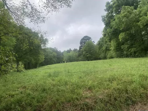 1218 Rodeo Dr, Denham Springs, LA 70726