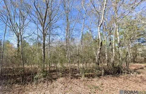 Sam Thomas Road, Franklinton, LA 70438