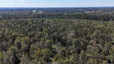 1 Louisiana 1 # 1 b, Clinton, LA 70722