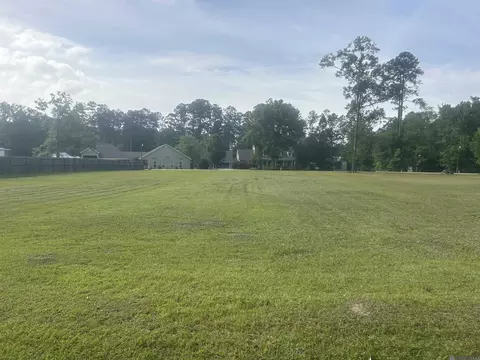 River Pines Dr, Springfield, LA 70462 photo 5