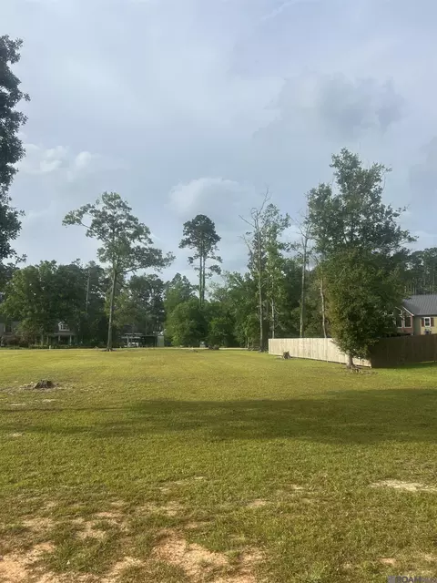 River Pines Dr, Springfield, LA 70462 photo 7