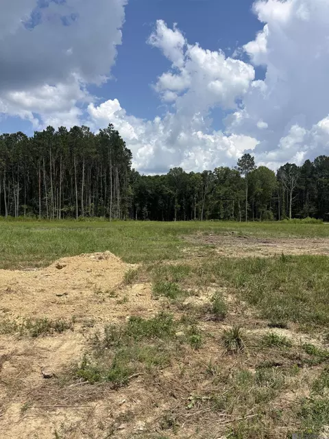 34766 Clinton Allen Rd, Denham Springs, LA 70706