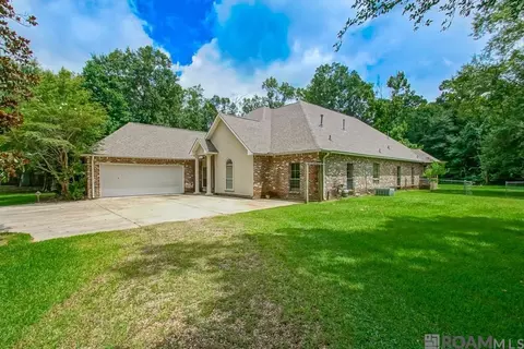 14150 Lockhart Ln, Walker, LA 70785 photo 5
