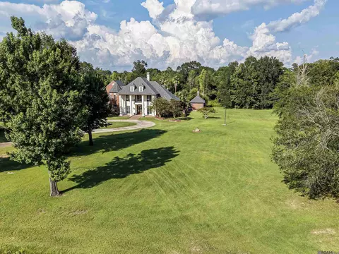 35350 Will Allen Rd, Denham Springs, LA 70706