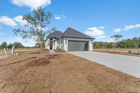 26343 Somerset Hills Ct, Denham Springs, LA 70726