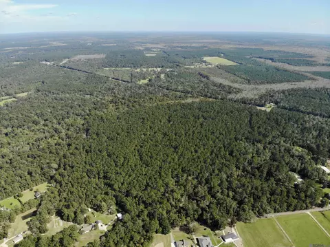tbd Guitreau Rd, Livingston, LA 70754