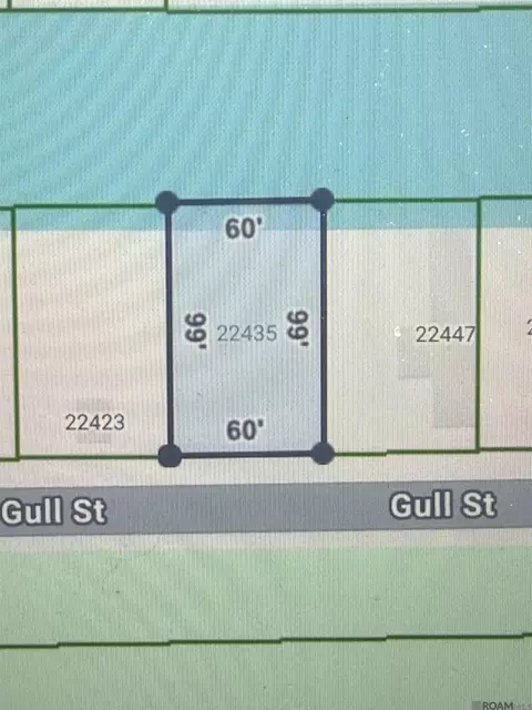 22435 Gull St, Maurepas, LA 70449
