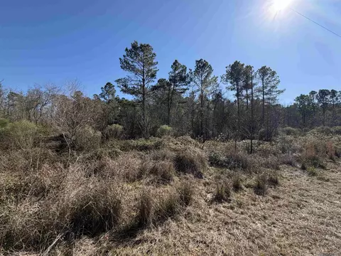 lot5 D Texas St, Livingston, LA 70754