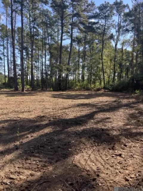 J.h. Jenkins Ln, Denham Springs, LA 70706