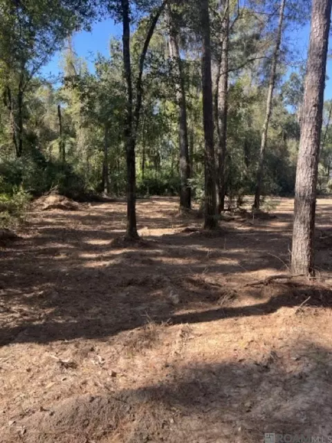 J.h. Jenkins Ln, Denham Springs, LA 70706