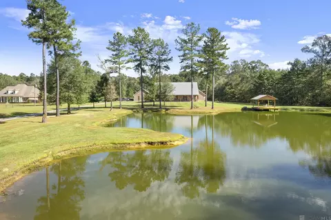 View/Area - 15693 Alphonse Forbes Rd, Pride, LA 70770 photo 2 of 2