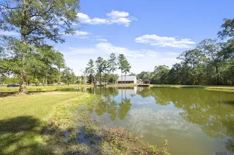 View/Area - 15693 Alphonse Forbes Rd, Pride, LA 70770 photo 1 of 2