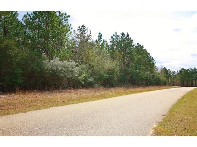 131 Tomahawk Ln, Covington, LA 70435 photo 1