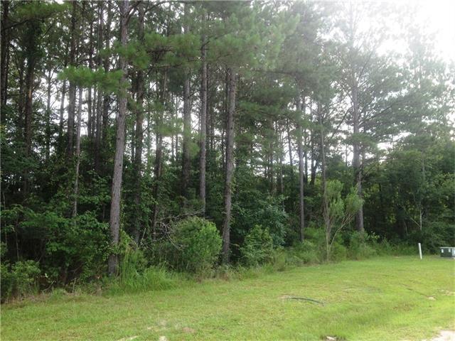 308 Beebalm Cir, Covington, LA 70435 photo 1