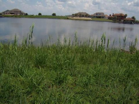 2307 Sunset Blvd, Slidell, LA 70461 photo 1