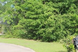 47116 Ruby Oak Ct, Hammond, LA 70401 photo 1