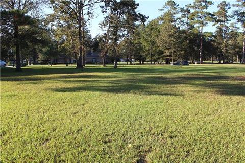 30784 Wild Iris Way, Springfield, LA 70462 photo 1