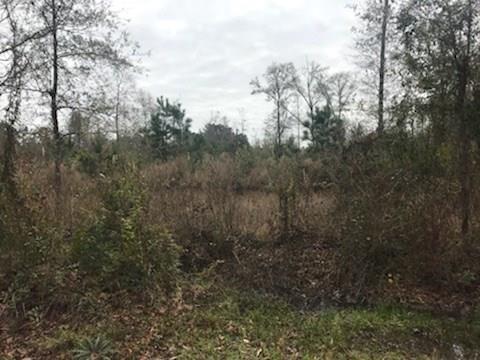27505 Easley Rd, Independence, LA 70443 photo 1