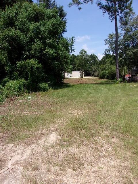 1695 N Collins Blvd, Covington, LA 70433